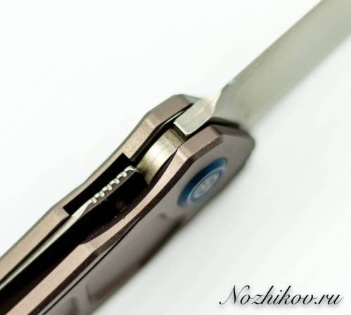 5891 Maxace Knife Maxace Ptilopsis Light фото 15