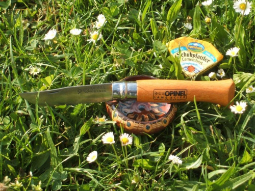 Складной нож Opinel Нож №10 фото 9 Складной нож Opinel Нож №10 фото 9